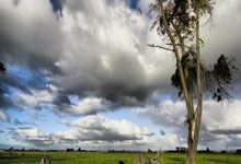 NBA在线直播JRS无插件直播靠谱吗？怎么用？优势在哪？